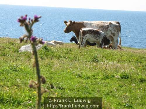 Streedagh Strand